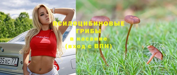 стаф Армянск