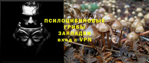 стаф Армянск